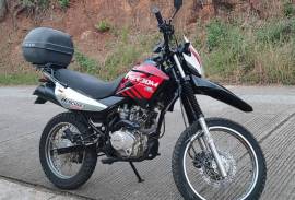 Freedom, Hercules, 2021