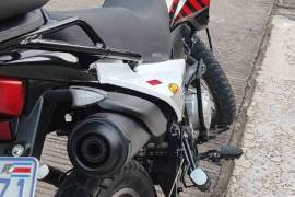 Freedom, Hercules, 2021