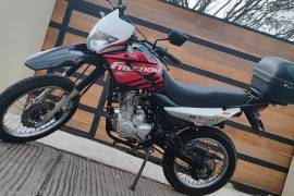 Freedom, Hercules, 2021