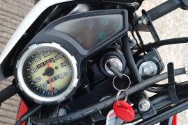 Freedom, Hercules, 2021