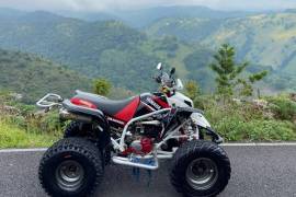 Yamaha, Blaster , 2004