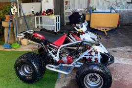 Yamaha, Blaster , 2004