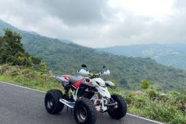 Yamaha, Blaster , 2004