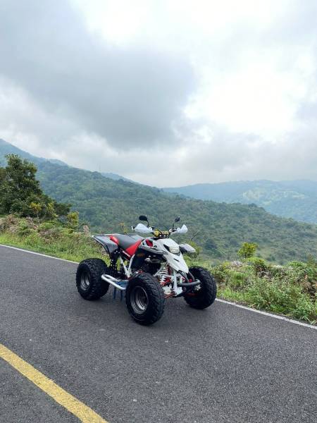 Yamaha, Blaster , 2004