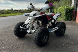 Yamaha, Blaster , 2004
