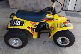 Suzuki, Lt 50, 2000