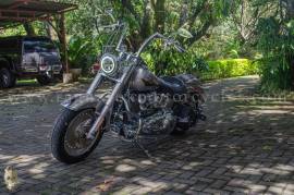 Harley-Davidson, Softail Fat Boy año 2007, 2007