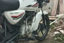 Bajaj, Boxer, 2020