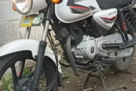 Bajaj, Boxer, 2020