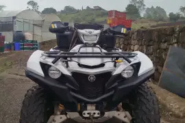 Yamaha, Grizzly special edition, 2017