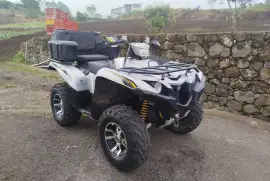 Yamaha, Grizzly special edition, 2017