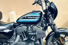 Harley-Davidson, Sportster Iron, 2019 Harley-Davidson, Sportster Iron, 2019