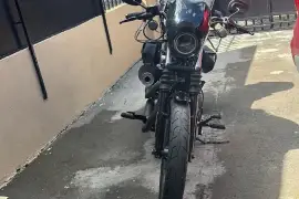 Harley-Davidson, Sportster Iron, 2019