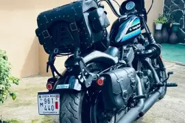 Harley-Davidson, Sportster Iron, 2019 Harley-Davidson, Sportster Iron, 2019