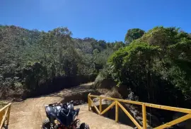 Yamaha, Raptor, 2024