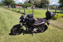 Honda, Hornet, 2021 Honda, Hornet, 2021