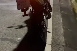 Serpento, Yara 250, 2025