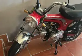 Freedom, Rex90, 2017