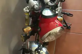 Freedom, Rex90, 2017