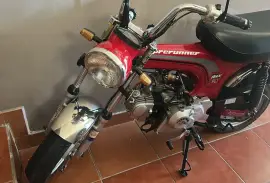 Freedom, Rex90, 2017