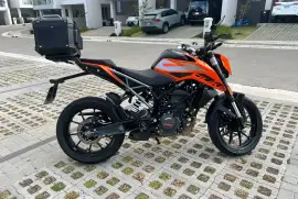 KTM, duke, 2023