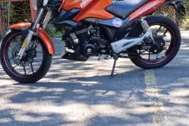 Freedom, Arrow, 2015 Freedom, Arrow, 2015