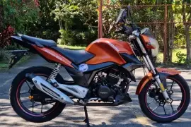 Freedom, Arrow, 2015 Freedom, Arrow, 2015