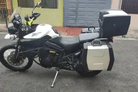 Triumph, Tiger, 2013