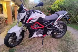 Benelli, tnt25n, 2018