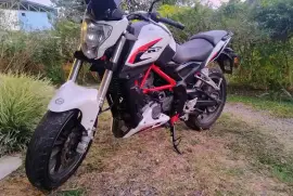 Benelli, tnt25n, 2018