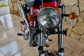 Freedom, Rex 90, 2017