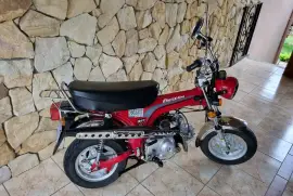 Freedom, Rex 90, 2017