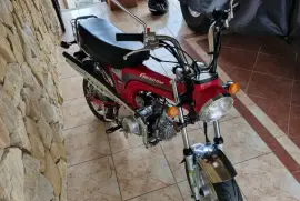 Freedom, Rex 90, 2017