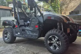 Yamaha, RHINO, 2012