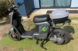 - Other Brands -, CR WOLF, 2023