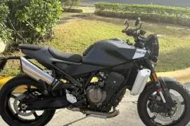 Husqvarna, Svartpilen 801, 2024