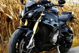 BMW, S1000r, 2015