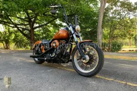 Harley-Davidson,  Dyna Street Bob , 2008