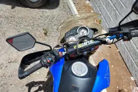 Serpento, Viper, 2023