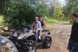 Honda, TRX 680FA , 2008