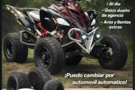 Yamaha, Raptor SE, 2010