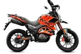 - Other Brands -, 250, 2025