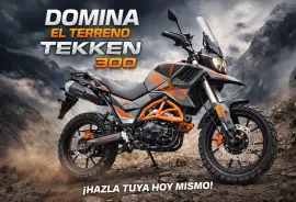 - Other Brands -, 250, 2025