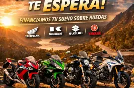 - Other Brands -, 250, 2025