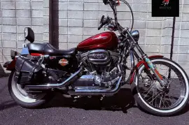 Harley-Davidson, Custom, 2009