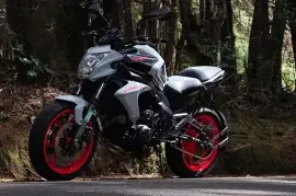 Kawasaki, Er6n, 2014