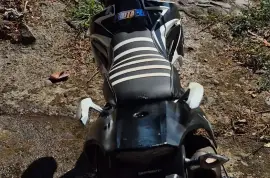 Serpento, Yara, 2021