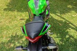 Kawasaki, Ninja 300, 2013