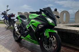Kawasaki, NINJA 300 ABS , 2014