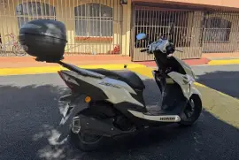 Honda, Élite , 2019